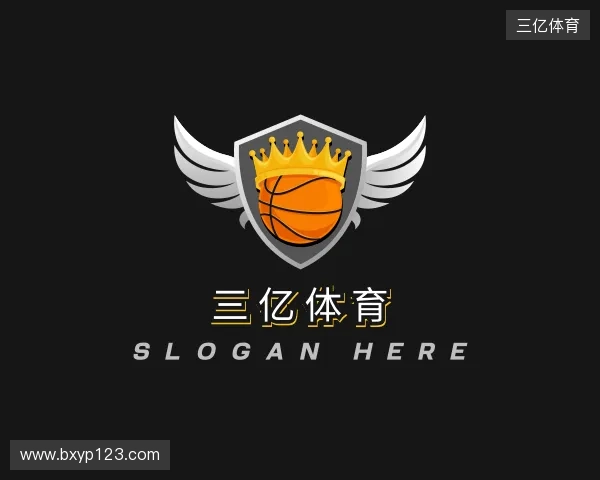 发现三亿体育